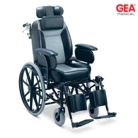 Comfort wheelchair - Handicap and mobility - 1