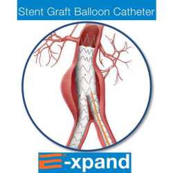 Cathéter à ballonnet pour greffe de Stents - 5