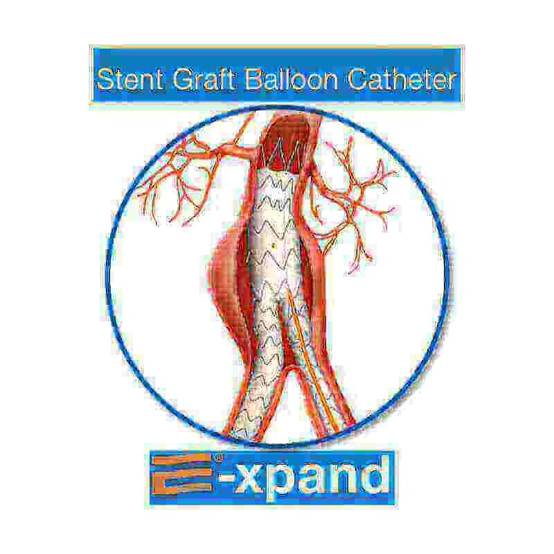 Stent graft balloon catheter - Cardiac surgery - 5