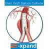 Stent graft balloon catheter - Cardiac surgery - 5