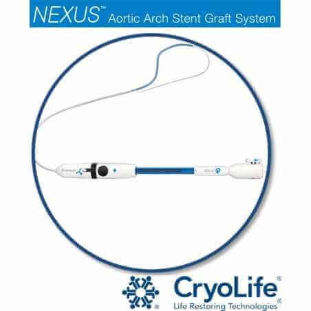 Aortic Arch Stent Graft System - Cardiac surgery -