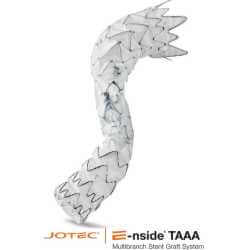 E-nside TAAA Multibranch Stent Graft System - Card