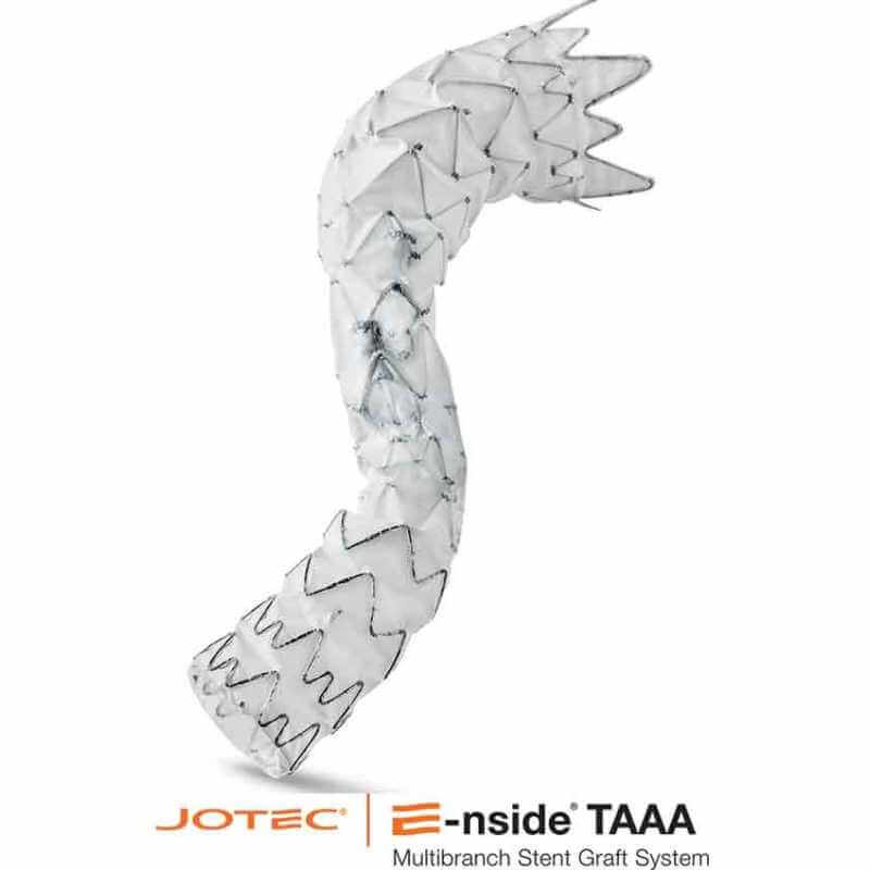 E-nside TAAA Multibranch Stent Graft System - Card