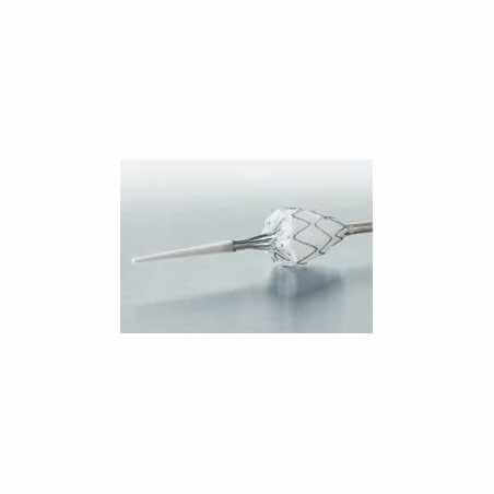 Stent graft systems - Cardiac surgery - 1