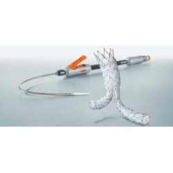 Stent graft systems - Cardiac surgery - 2