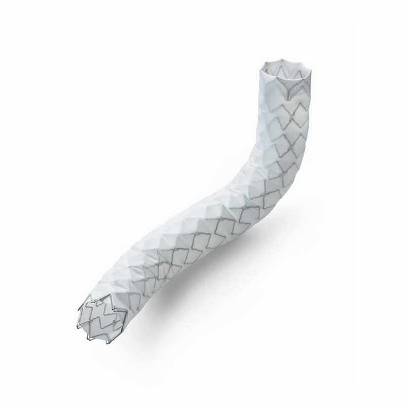 Peripheral Stent Graft System - Cardiac surgery - 