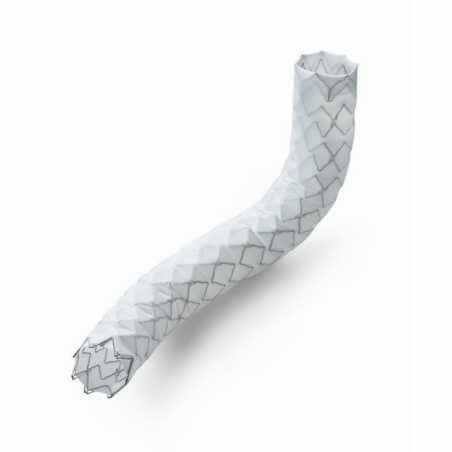 Peripheral Stent Graft System - Cardiac surgery - 