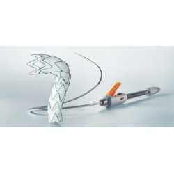 E-vita thoracic 3G stent graft system - Cardiac su