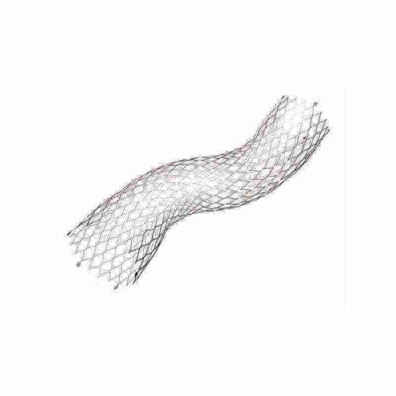 E-XL aortic stent - Cardiac surgery - 1