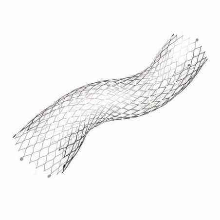 E-XL aortic stent - Cardiac surgery - 1